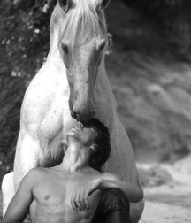 Wonder Select Twink Images Tube Sexy Absolute 62f41744ef1c8.jpg