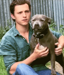Gay Twink Porn Cuties 23 5ee7c35583f57.gif