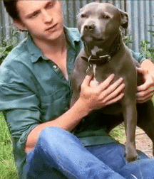 Gay Twink Porn Cuties 23 5ee7c3a428e08.gif