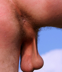 Gay Twinks Porn - 018 - mixed twink rear views 5ef5e9bacb513.jpg