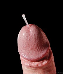 Gay Twinks Porn - 036 - cum shots and facials 5f011f4f17092.jpg