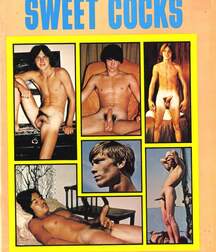Gay Vintage Porn - 047 - mixed magazine covers 5f0a3f315fe6a.jpg