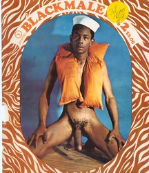 Gay Vintage Porn - 047 - mixed magazine covers 5f0a3f423adbd.jpg
