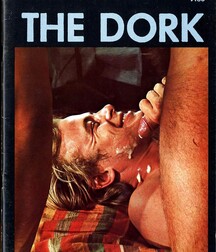 Gay Vintage Porn - 048 - mixed magazine covers 5f0a438b04cd6.jpg