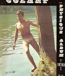 Gay Vintage Porn - 048 - mixed magazine covers 5f0a43d3d2101.jpg