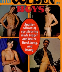 Gay Vintage Porn - 048 - mixed magazine covers 5f0a441d41a14.jpg