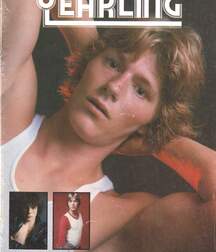 Gay Vintage Porn - 049 - mixed magazine covers 5f0a48b04f9e1.jpg