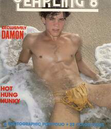 Gay Vintage Porn - 049 - mixed magazine covers 5f0a48bf91d05.jpg