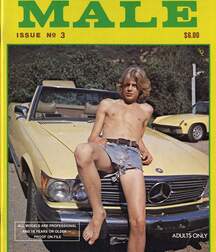 Gay Vintage Porn - 049 - mixed magazine covers 5f0a48e5ee58f.jpg
