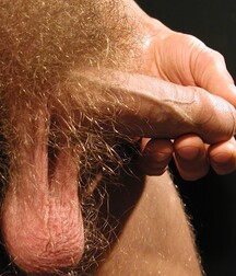 Gay Twinks Porn - 084 - alexander 5f2e0777b2b1d.jpg