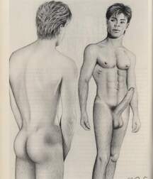 Gay Vintage Porn - 100 - mixed cartoon art 5f38848dee735.jpg