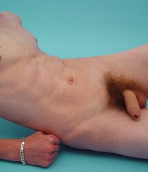 Gay Twinks Porn - 117 - Milovan 5f46d17842fda.jpg