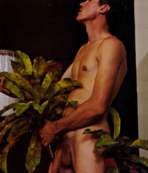 Gay Vintage Porn - 147 - John Holmes 5f58e0fa533e7.jpg