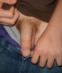 Cock Pics 1 5f1ca28deb0c2.jpg