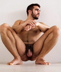Cocks and Briefs 4 5f24d377533c9.png