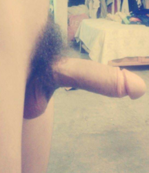 Hot Asses, Hard Cocks, and Briefs 1 5f32e151deaad.png