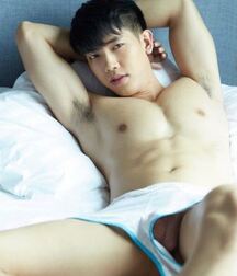 Asian Cock and Bulges 1