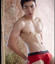 Asian Cock and Bulges 1 5f38a5058401b.jpg
