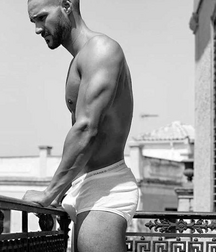 Hard Cocks, Bulges, and Briefs 1 5f3de4b8704f0.png
