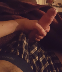Hard Cocks, Bulges, and Briefs 1 5f3de4becd663.png