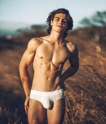 Underwear, Speedos, and Bulges 1 5f4af8efe78dd.jpeg