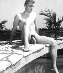 Vintage Cock Pics 1 5f4bdd50a378c.jpg