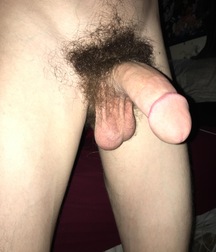 Hairy Bushes 2  5f6fe54d89dd9.jpeg