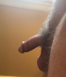 Hairy Bushes 2  5f6fe557f01e4.jpeg