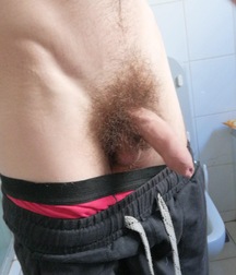 Hairy Bushes 2  5f6fe56229b1c.jpeg