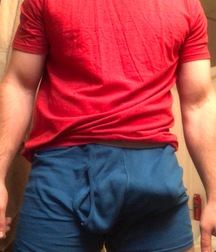 Boxer Briefs Bulges 1 5f7899bda4afb.jpeg