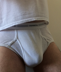 Briefs 1 5f789baedd1cc.png