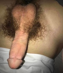 Hairy Bushes 3 5f78a145c919f.jpeg