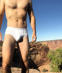 Briefs, Bulges, and Cocks  5f8846861ebf6.png