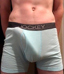 Briefs, Bulges, and Cocks  5f8846f82bf09.jpeg