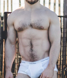 Briefs, Bulges, and Cocks  5f8847b97c611.png