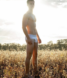 Briefs and Boxer Briefs 3 5f919625a127d.png