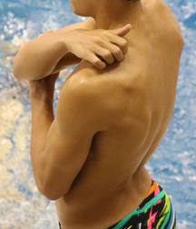Speedos 3 5f94cf306e98b.png