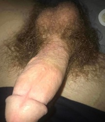Hairy Bushes 6 5fa769ffce290.jpeg