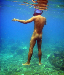 Nice Butts 5fb85c6ba3117.png