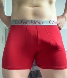 Dick Bulges 2 5fbbe6bea9271.jpeg
