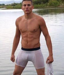 Nice Cock Bulges Gay Porn 6147a7ee3d93d.jpeg