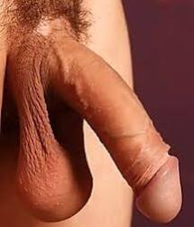 Nice cock shots gay porn big D 6183590600713.jpeg