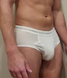 Bulging Briefs and Hairy Cocks Gay Porn 62e86f0d459bc.jpeg