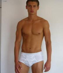Bulging Briefs and Hairy Cocks Gay Porn 62e86f3101260.jpeg