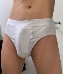 Bulging Briefs and Hairy Cocks Gay Porn 62e86f9b41533.jpeg