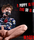 Bound 57d3222dc8501.jpg