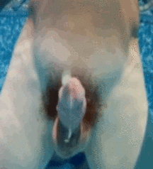 Cock Balls Ass 39 57ffc813707ef.gif