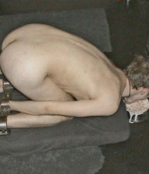 Cock Balls Ass 39 57ffc827beed3.jpg