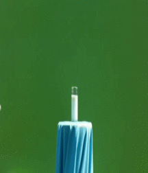 Cock Balls Ass 40 5804152966134.gif