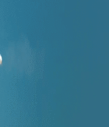 Cock Balls Ass 40 5804152aa323b.gif